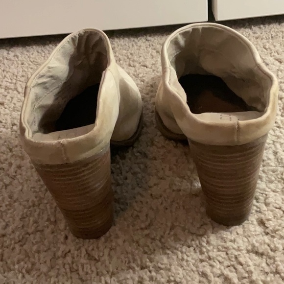 Aldo Mules - Picture 4 of 9